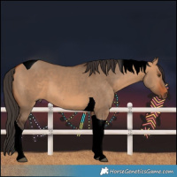 Horse Color:Bay Dun Tobiano 