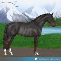 Horse Color:Liver Chestnut Rabicano 