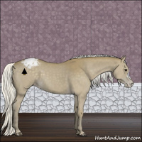 Horse Color:Silver Smoky Black Appaloosa 