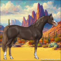 Horse Color:Liver Chestnut Sabino 