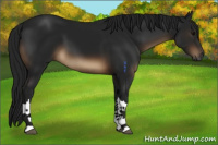 Horse Color:Gray Brown 