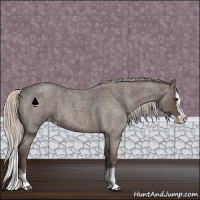 Horse Color:Silver Blue Roan Sabino Splash Appaloosa 