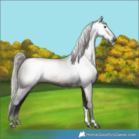 Horse Color:Gray Silver Brown Dun Tobiano 