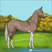 Horse Color:Silver Grullo Tobiano 