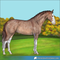 Horse Color:Chocolate Brown Roan Dun Splash Brindle 