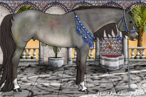 Horse Color:Smoky Blue Roan Sabino 