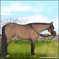 Horse Color:Brown Dun Brindle 
