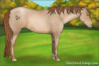Horse Color:Smoky Blue Roan Pearl 