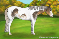 Horse Color:White Spotted Silver Smoky Black Tobiano 