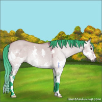 Horse Color:Gray Watercolor Brown Dun Splash 