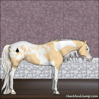 Horse Color:Gold Cream Champagne Splash Tobiano Appaloosa 