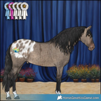 Horse Color:Brown Dun Blanket Brindle 
