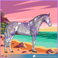 Horse Color:Gray Watercolor White Spotted Silver Classic Cream Champagne Onyx Sabino 