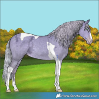 Horse Color:Silver Classic Cream Champagne Ice Dun Tobiano Rabicano 