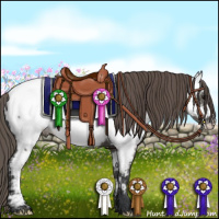 Horse Color:Grullo Near Fewspot 