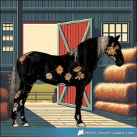 Horse Color:Void Palomino Sabino Rabicano