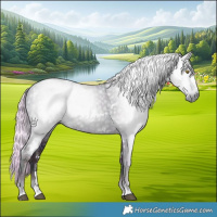 Horse Color:Gray Watercolor White Spotted Midnight Chocolate Palomino Ice Dun Rabicano