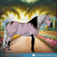 Horse Color:Void Watercolor White Spotted Palomino Tobiano 
