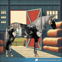 Horse Color:Void Gold Cream Champagne Ice Dun Splash Tobiano 