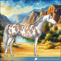Horse Color:Red Dun Mushroom Appaloosa Brindle 