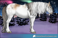 Horse Color:Gray White Spotted Smoky Black Tobiano Frame and White Spotted Buckskin Tobiano Frame