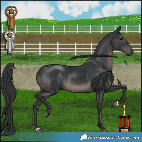 Horse Color:Platinum Black 