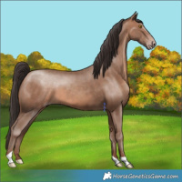 Horse Color:Sable Champagne Tobiano 
