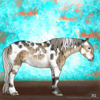 Horse Color:Gray Silver Smoky Grullo Splash Tobiano Appaloosa Rabicano Brindle 