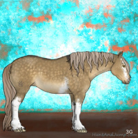 Horse Color:White Spotted Chocolate Palomino Dun Sabino 