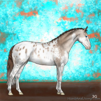 Horse Color:Liver Red Dun Sabino Splash Appaloosa 