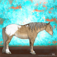 Horse Color:Chocolate Palomino Dun Sabino Appaloosa Brindle 