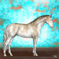 Horse Color:White Spotted Chocolate Palomino Dun Sabino Splash 