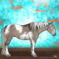 Horse Color:Gray Silver Grullo Tobiano Frame 