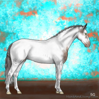 Horse Color:Brown Dun Mushroom Sabino Splash Tobiano Frame Appaloosa Brindle 