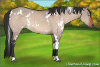 Horse Color:White Spotted Brown Dun Mushroom 