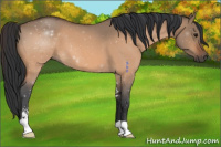 Horse Color:Bay Roan Dun Sabino 