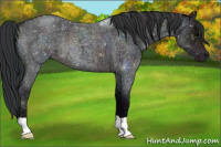 Horse Color:Midnight Brown Roan 