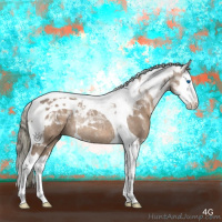 Horse Color:Liver Red Dun Mushroom Splash Tobiano Rabicano 
