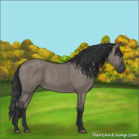 Horse Color:Grullo 