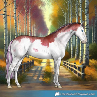 Horse Color:Painted Silver Brown Onyx Splash 