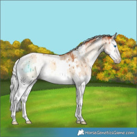 Horse Color:White Spotted Silver Sable Champagne Onyx Splash Brindle 