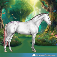 Horse Color:Painted White Spotted Silver Bay Ice Onyx Splash Appaloosa Rabicano 