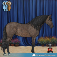 Horse Color:Brown Dun Brindle