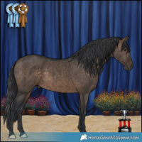 Horse Color:Brown Dun Brindle
