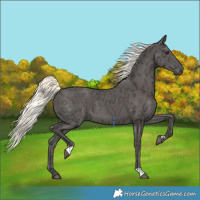 Horse Color:Liver Chestnut Ice Mushroom 