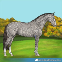 Horse Color:Amber Champagne Ice Dun Mushroom 