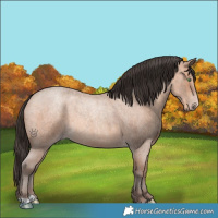 Horse Color:Sable Champagne Roan 