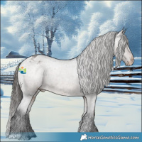 Horse Color:Brown Roan Dun Appaloosa 