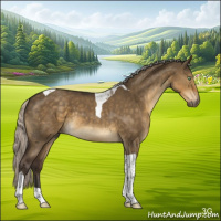 Horse Color:Silver Smoky Grullo Tobiano 