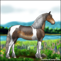 Horse Color:Silver Smoky Black Tobiano 